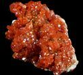 Red Vanadinite Crystal Cluster - Morocco #36979-1